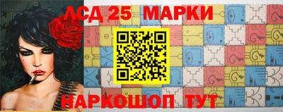 кокс Можга