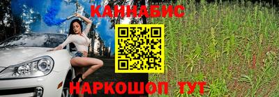 кокс Можга