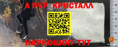 кокс Можга
