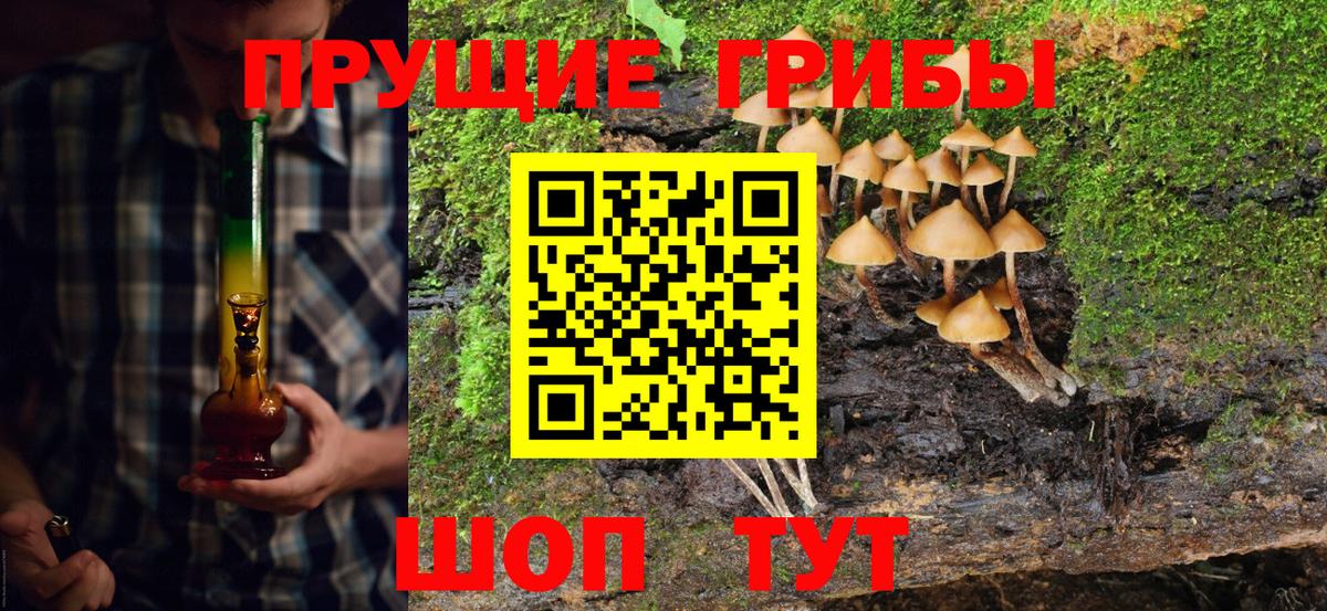 Псилоцибиновые грибы мицелий  Псилоцибиновые грибы Psilocybe  Ялуторовск  Вход с VPN 